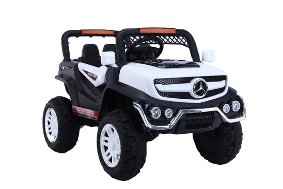 12V Electric Ride-On Car for 10-Year-Olds Suitable Age 3-8 Years Plant Boys Licensed