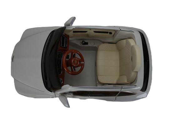 Plastic 6v or 12v Electric Ride On Car with Remote Control from Authorized