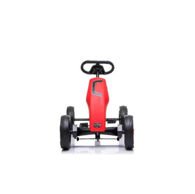 2022 Customizable Children's Ride-On Pedal Go-Kart for Older Kids G.W/N.W 8.5/7.8KGS