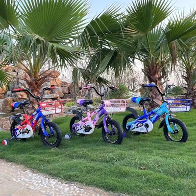 12 Inch Carbon Steel Frame Ride On Toy N.W of 8KG and Suitable for 2-7 Years Old Baby