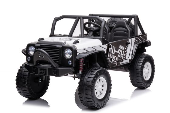 24 Volt Ride On Toys with Remote Control and 2 Seater Plastic PP Material